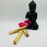 Palo Santo - sveti les