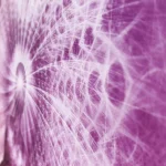 energijska slika Portal zavesti-platno